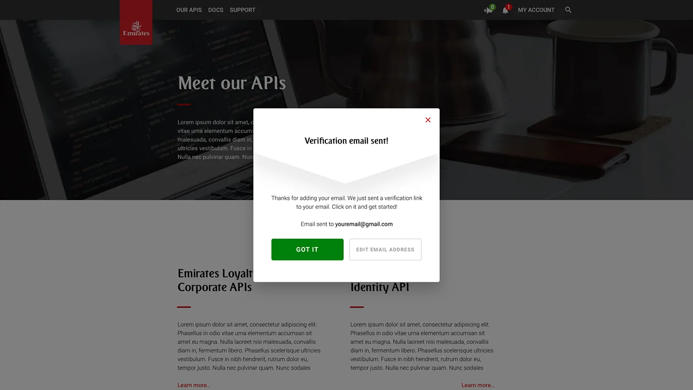 Emirates Airlines member rewards program dashboard
